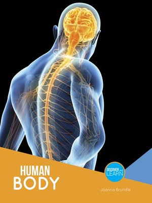 cover image of The Human Body